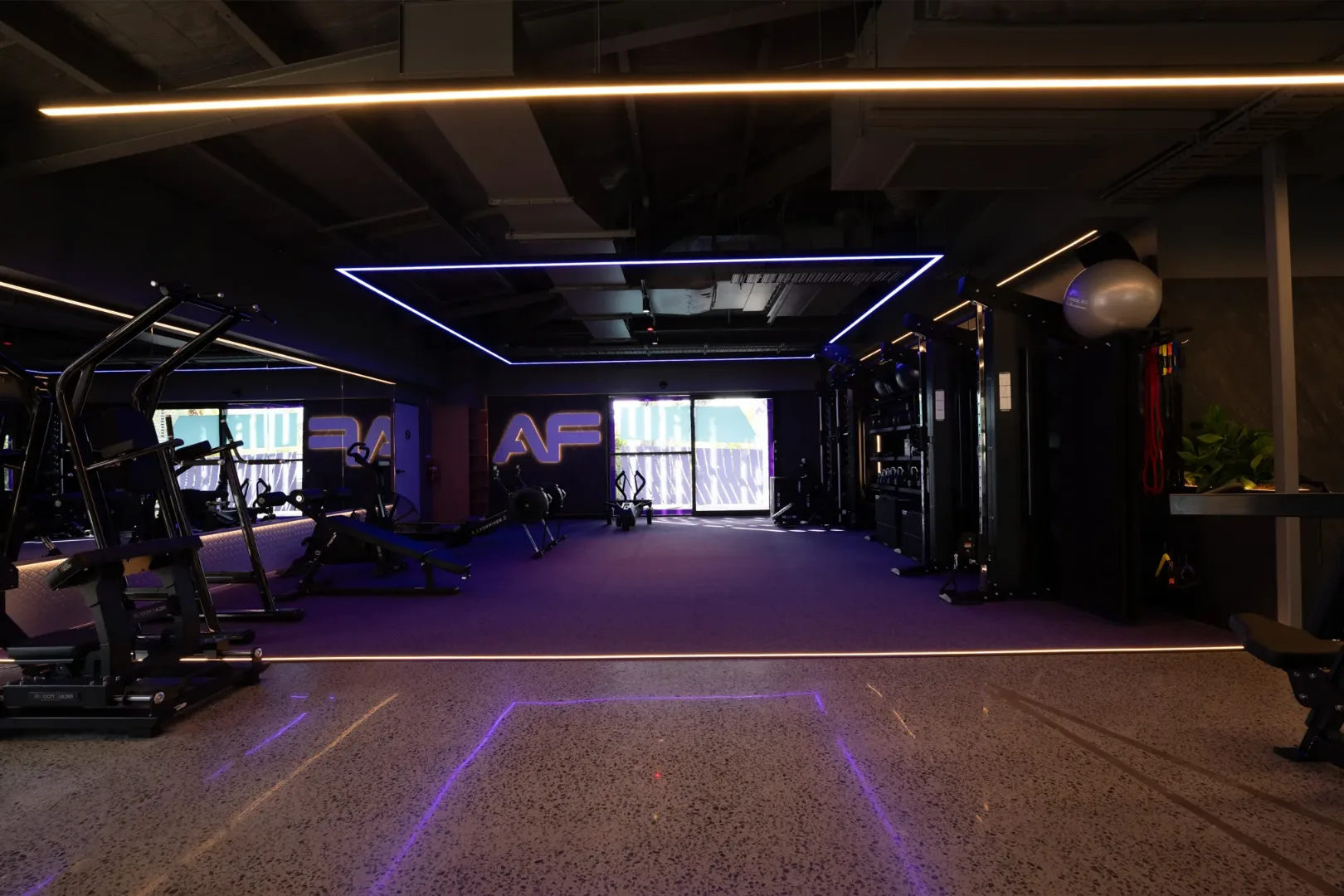 Anytime Fitness gym floor lit with purple and warm linear lighting